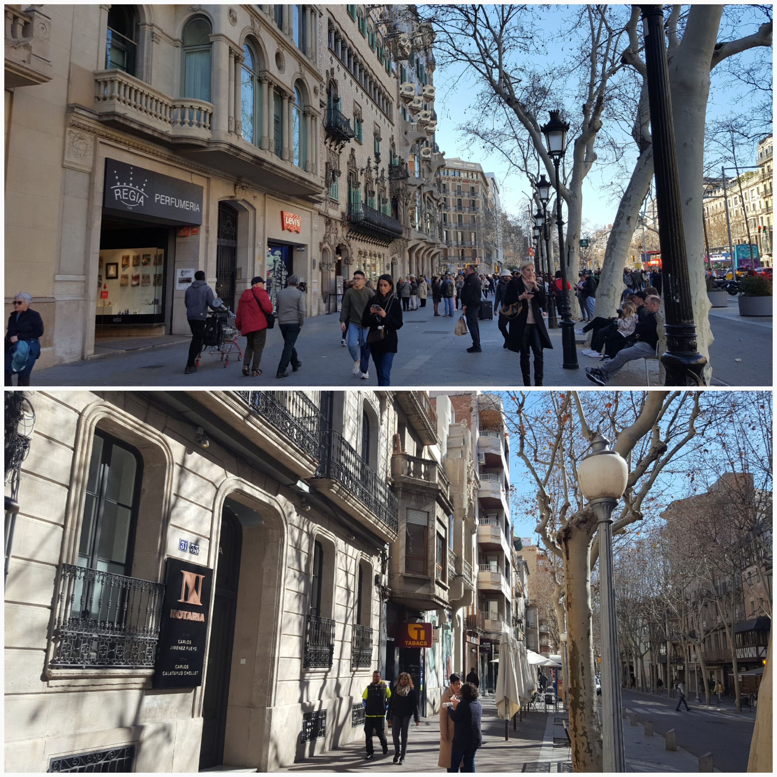 Pixapins, Al Passeig De Gràcia De Barcelona, I Pelacanyes, A La Rambla D'Igualada.